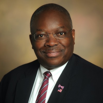 Professor Joshua Otaigbe