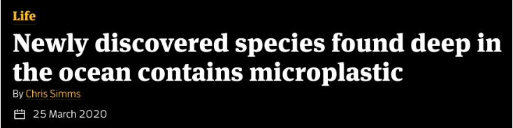 A headline about microplastic in the ocean which is not really news because dust particles are everywhere A. J. Jamieson et al., Microplastics and synthetic particles ingested by deep-sea amphipods in six of the deepest marine ecosystems on Earth, The Royal Society, Open Science, 6, 180667, 2019