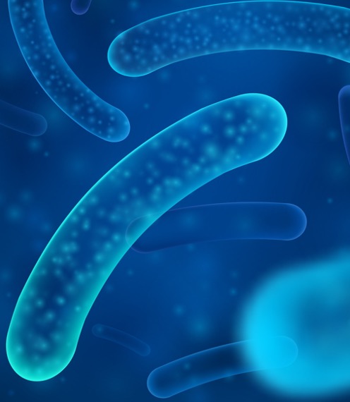 A close-up stock image of a blue bacteria