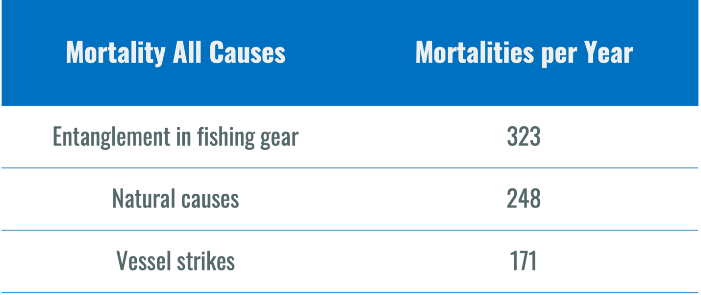 Table of data on whale mortalities showing that causes are entanglements in fishing gear, natural causes and vessel strikes with no mention of plastic and no evidence that plastic is a danger.