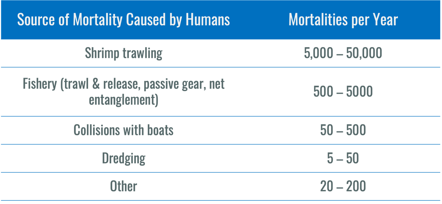 Peer-reviewed data in a table format on what actually harms sea turtles which is shrimp trawling with 5000-50000 mortalities per year, fishery and collisions with boats but no evidence that plastic causes any harm from the study National Research Council – Decline of the Sea Turtles: Causes and Prevention. Washington, DC: The National Academies Press, 1990