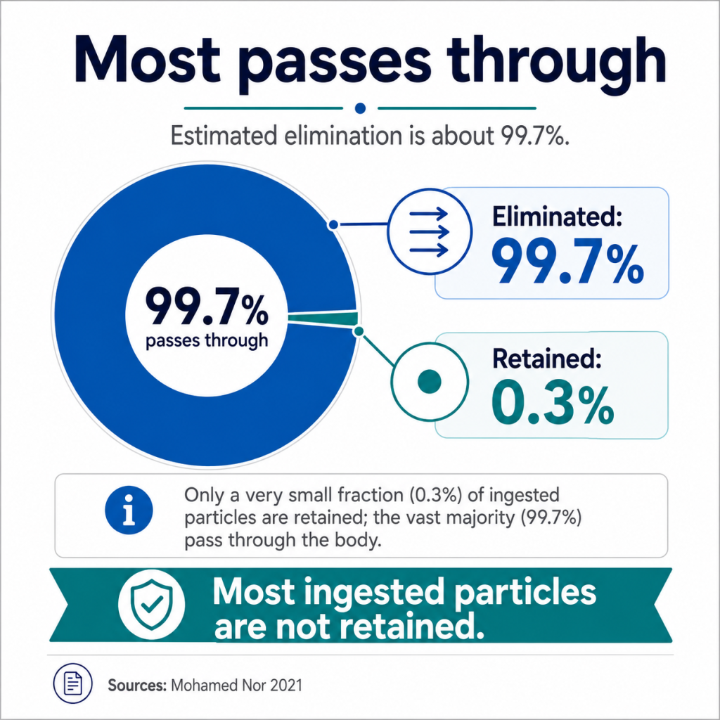 Most Microplastic Particles Pass Right Through Us