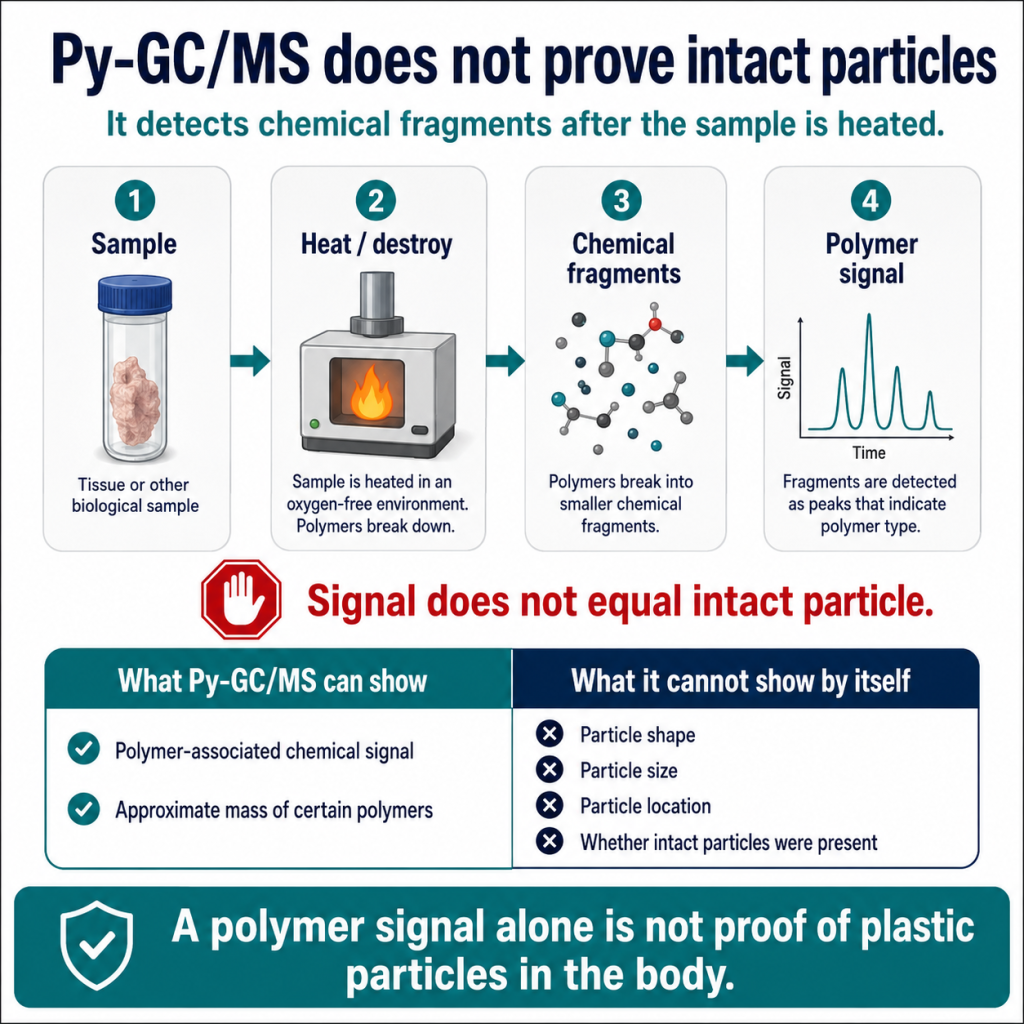Py-GC:MS Does not Prove Intact Microplastic Particles