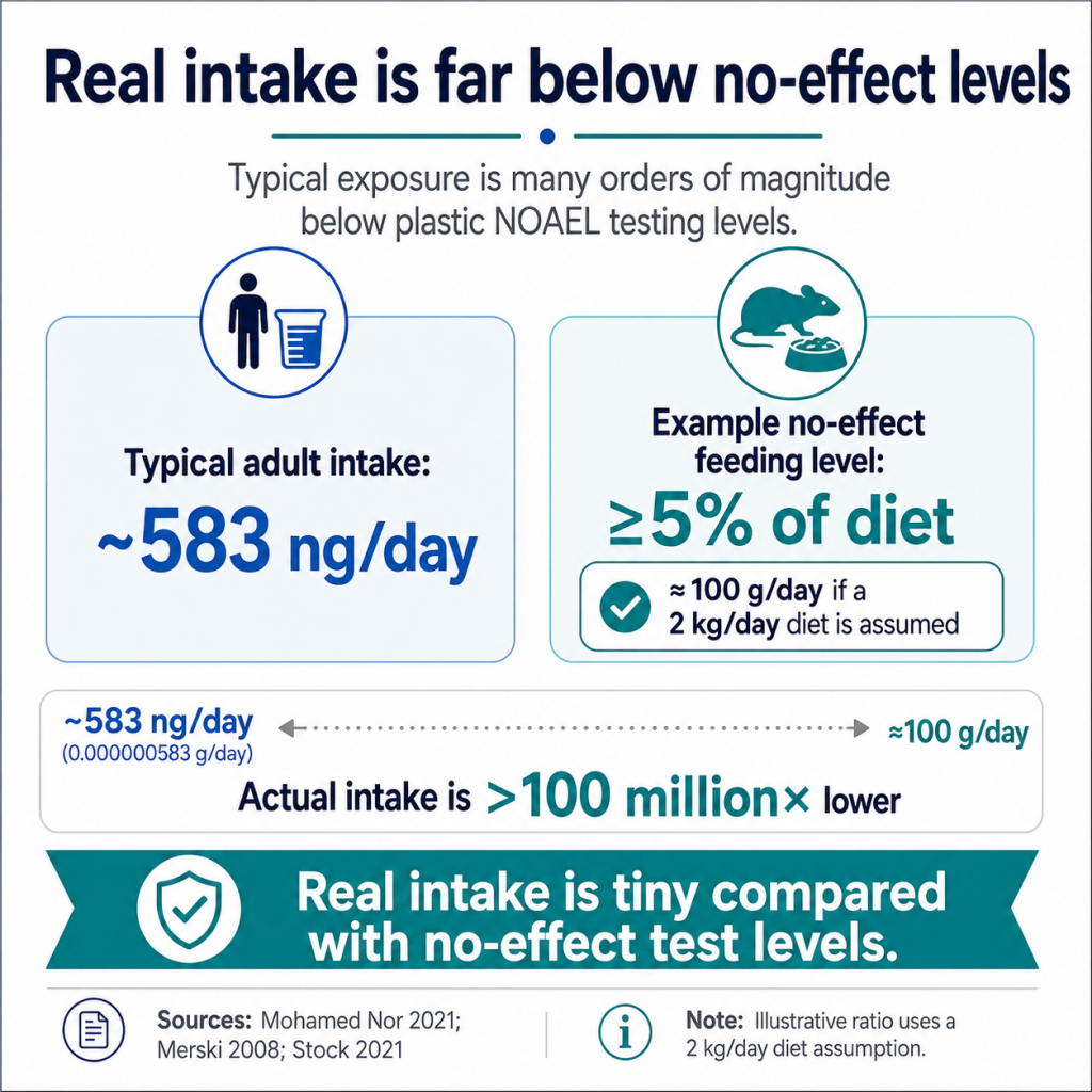 Real Intake Far Below NOAEL