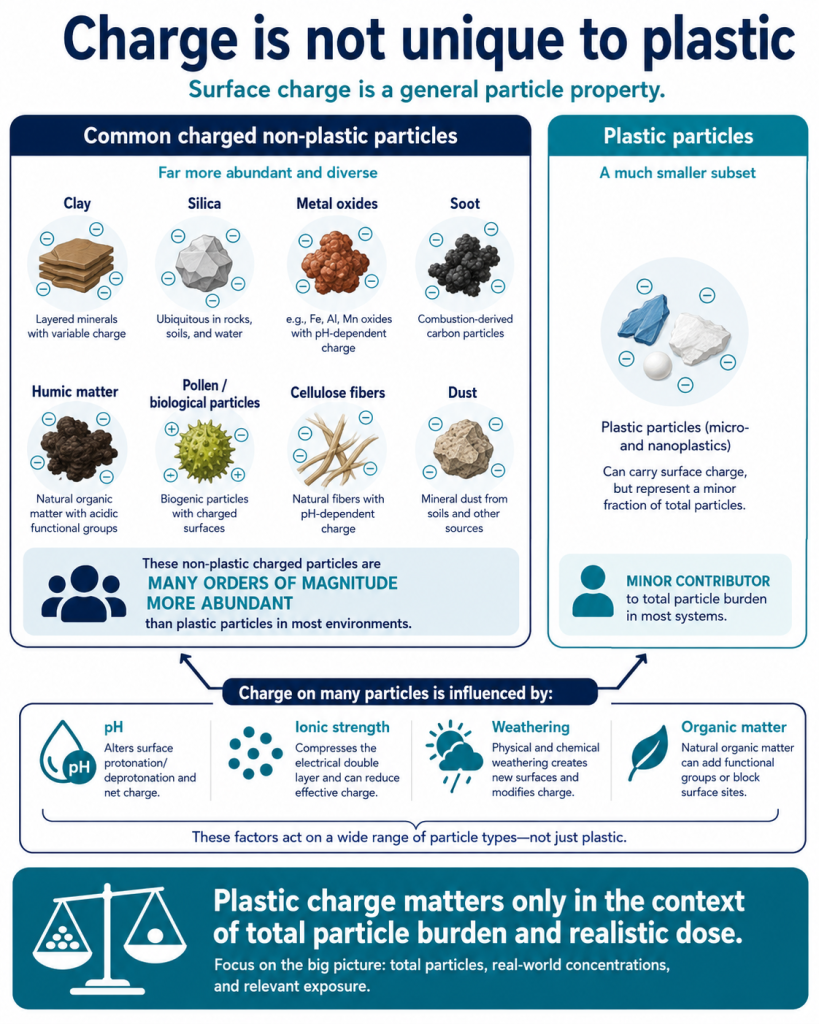Surface Charge is Not Unique to Microplastic Particles