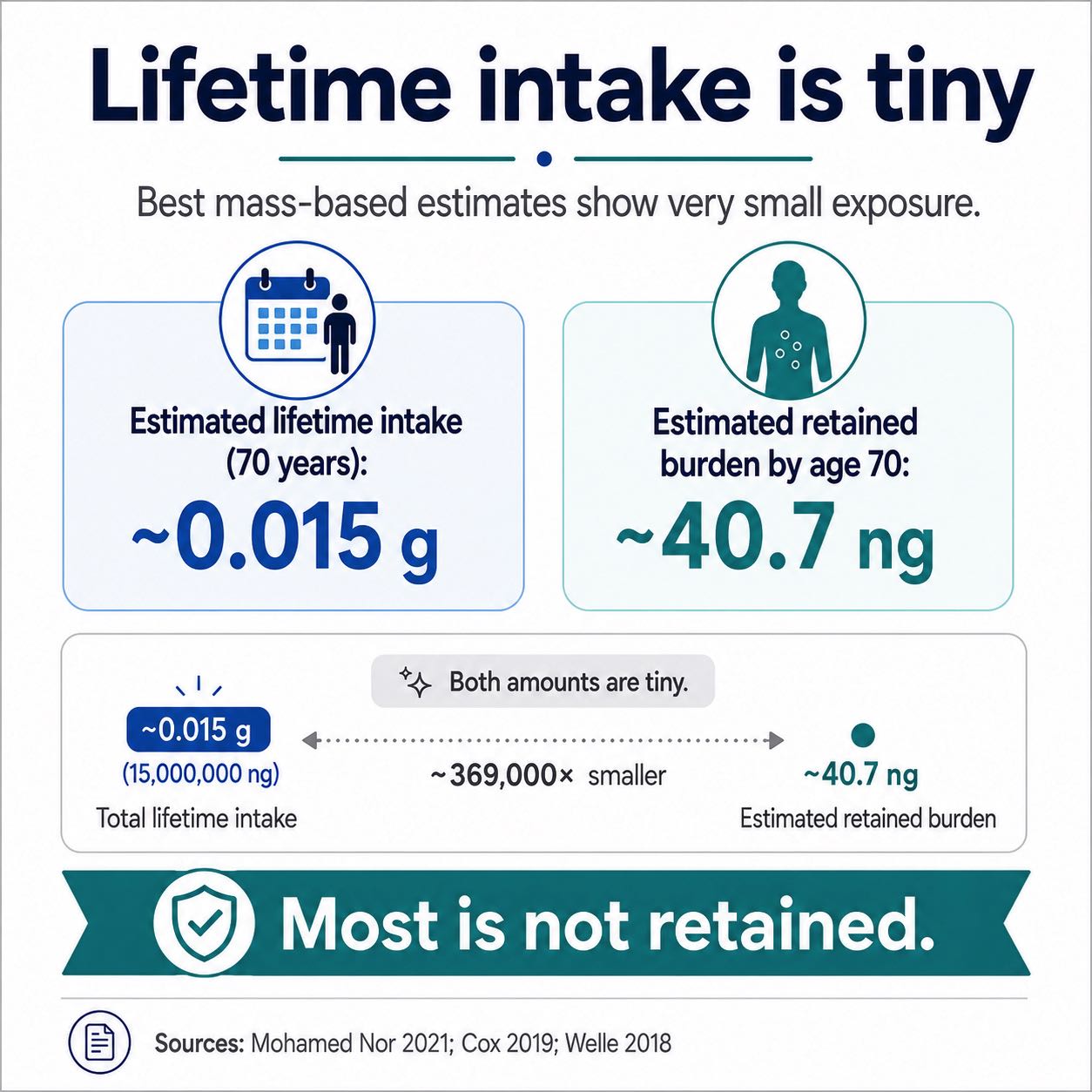 Infographic showing modeled lifetime intake of about 0.015 grams and modeled adult tissue burden of about 40.7 nanograms