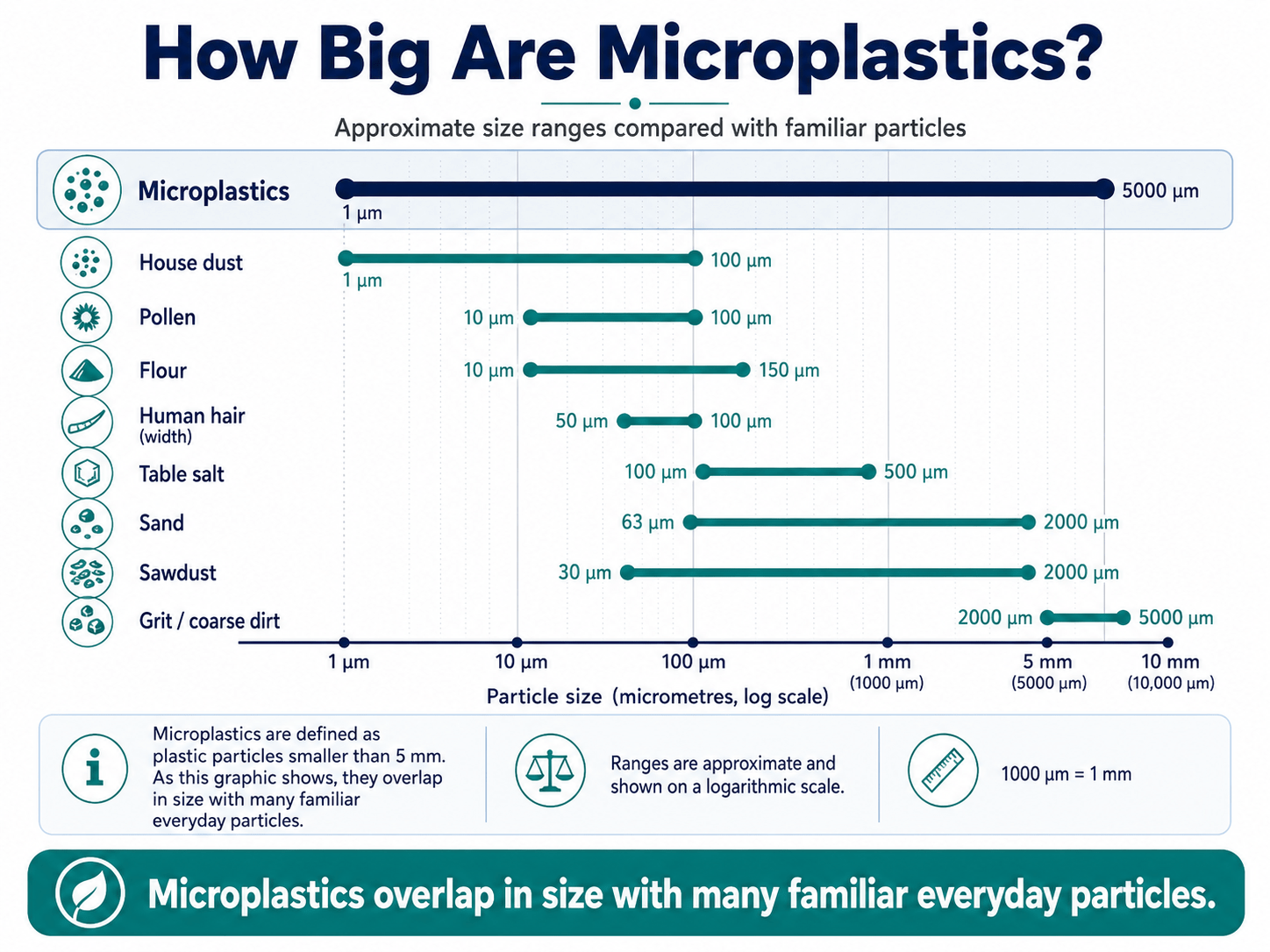 How Big Are Microplastics Compared