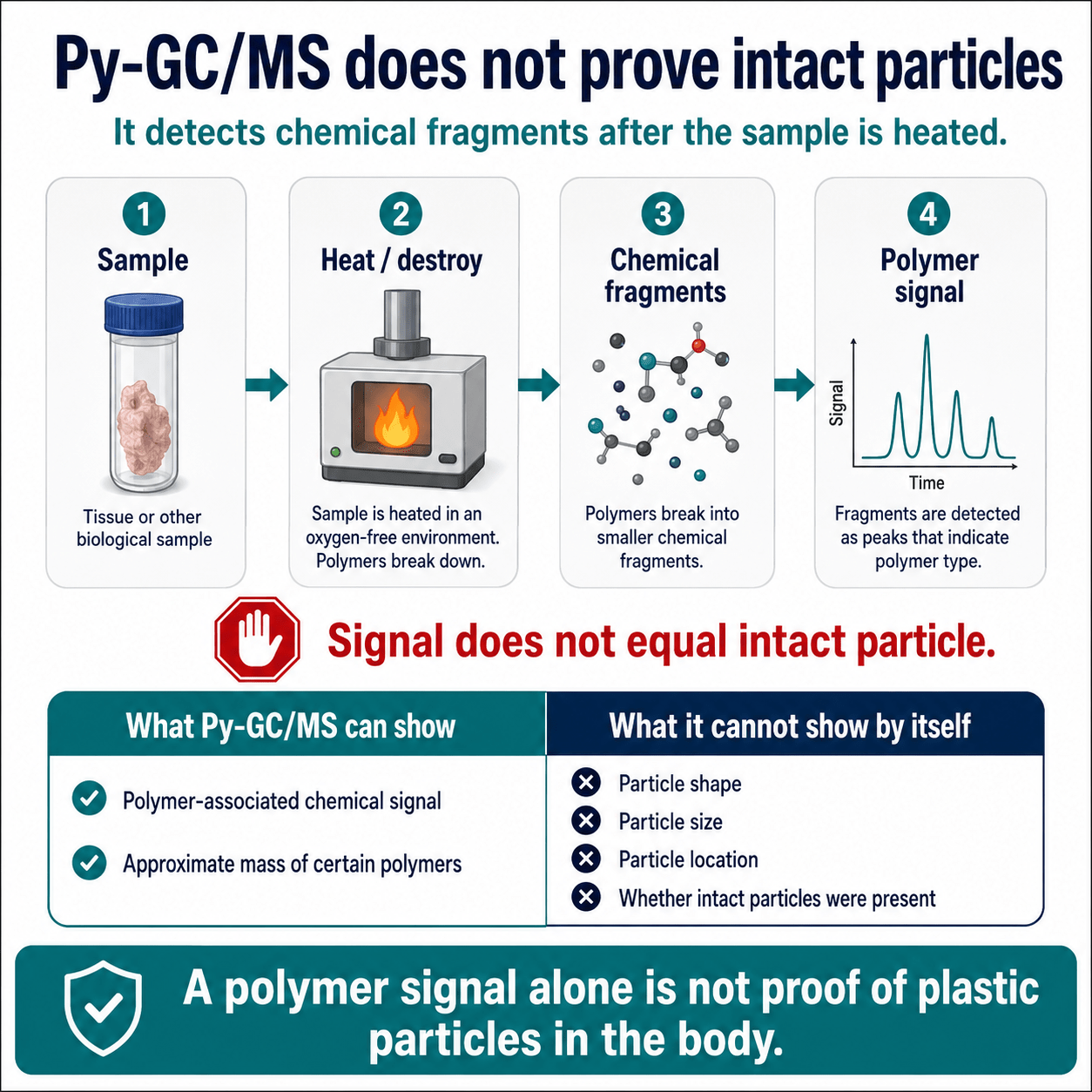 Py-GC:MS Does not Prove Intact Microplastic Particles
