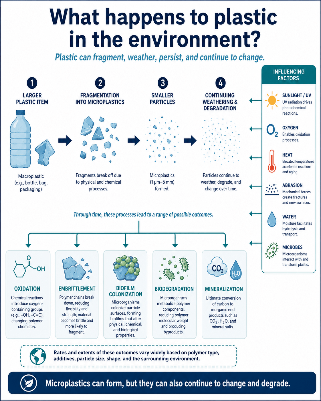 What Happens to Microplastic Particles in the Environment
